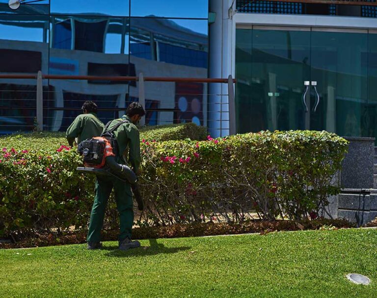 Two workers cleaning up in front of an office building
