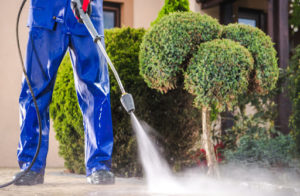 A man is using a pressure washer right next to a landscaped plant. He is pictured from the waist down and is wearing a blue jumpsuit.