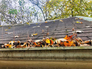 a dirty gutter full of brown and orange leaves